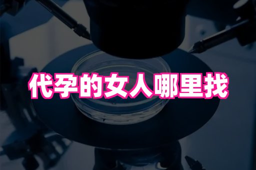 【代生套餐·正规代怀】vagaas